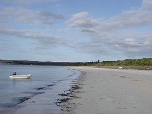 Looking east along Island Beach